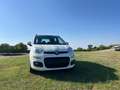 Fiat Panda Panda 1.2 Easy s Bianco - thumbnail 2