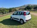 Fiat Panda Panda 1.2 Easy s Bianco - thumbnail 11