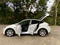 Tesla Model Y Model Y Long Range Dual Motor AWD / AHK / MwSt awb Weiß - thumbnail 21