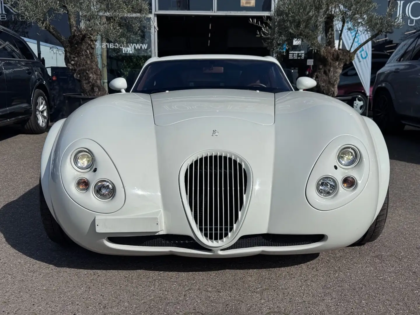 Wiesmann MF 4 GT I 1-Hand I Kälteanlage I Bordeaux Leder Alb - 2