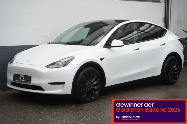 Tesla Model Y Performance *AHK*EAP*
