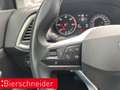 SEAT Ateca 2.0 TDI DSG Xperience NAVI KAMERA BEATS ACC LED Grau - thumbnail 38