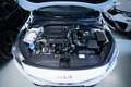 Kia XCeed 1.5 tgdi mhev Style 160cv dct - thumbnail 14