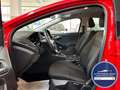 Ford Focus Lim. Trend *NEU ZAHNRIEMEN+SERVICE* Rouge - thumbnail 12