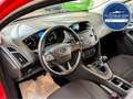 Ford Focus Lim. Trend *NEU ZAHNRIEMEN+SERVICE* Rouge - thumbnail 8