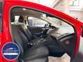 Ford Focus Lim. Trend *NEU ZAHNRIEMEN+SERVICE* Rouge - thumbnail 16