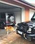 Mercedes-Benz G 63 AMG G63AMG"Einer der Besten!"KERAMIKVERSIEGELUNG! Zwart - thumbnail 25
