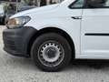 Volkswagen Caddy Caddy Kastenwagen Entry 2,0 TDI inkl. MwSt. - thumbnail 9