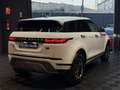 Land Rover Range Rover Evoque 2.0D S FWD 150 Blanco - thumbnail 8