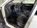 Skoda Karoq 1.5 TSI DSG Tour Rear-View, LED Weiß - thumbnail 5