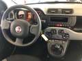 Fiat Panda 1.0 firefly hybrid City Cross s Nero - thumbnail 6