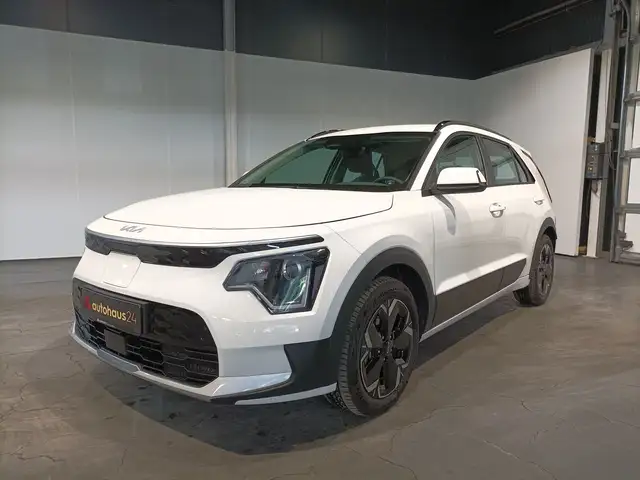 Kia E-Niro view 3