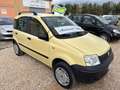Fiat Panda Panda 1.2 4x4 Giallo - thumbnail 3