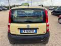 Fiat Panda Panda 1.2 4x4 Giallo - thumbnail 5