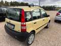 Fiat Panda Panda 1.2 4x4 Giallo - thumbnail 4
