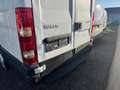 Iveco Daily Daily 35 S 13 V Weiß - thumbnail 12