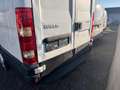 Iveco Daily Daily 35 S 13 V Weiß - thumbnail 16