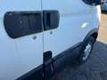 Iveco Daily Daily 35 S 13 V Weiß - thumbnail 20