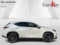 Lexus NX 350h Executive-Line Wit - thumbnail 2