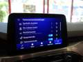 Ford Kuga Titanium *ERSTBESITZ  *GARANTIE *CARPLAY *ASSISTE Grau - thumbnail 38