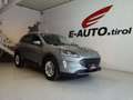 Ford Kuga Titanium *ERSTBESITZ  *GARANTIE *CARPLAY *ASSISTE Grau - thumbnail 1