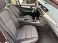 Mercedes-Benz C 200 -Klasse CGI BlueEfficiency aus 1. Hand scheckheft Braun - thumbnail 13