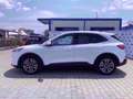 Ford Kuga 2.5 Plug In Hybrid 225 CV CVT 2WD Titanium Weiß - thumbnail 3