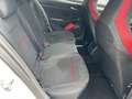 Volkswagen Golf VIII 2.0 TSI GTI Clubsport Black Style*Navi Weiß - thumbnail 20