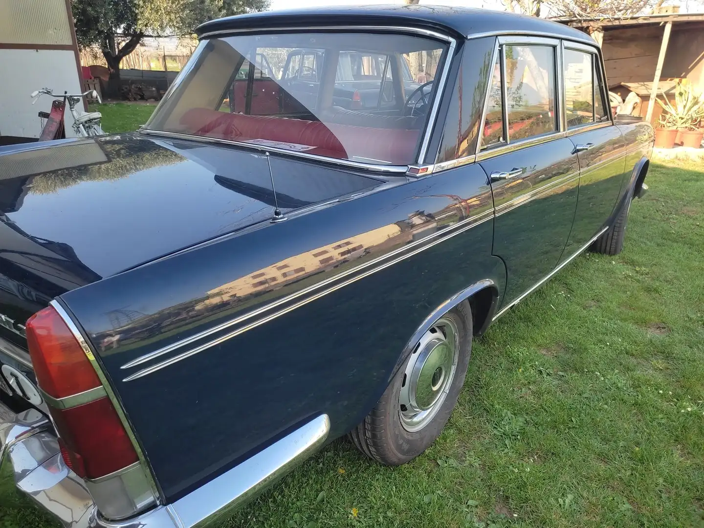 Fiat 2300 Benzina Blau - 1