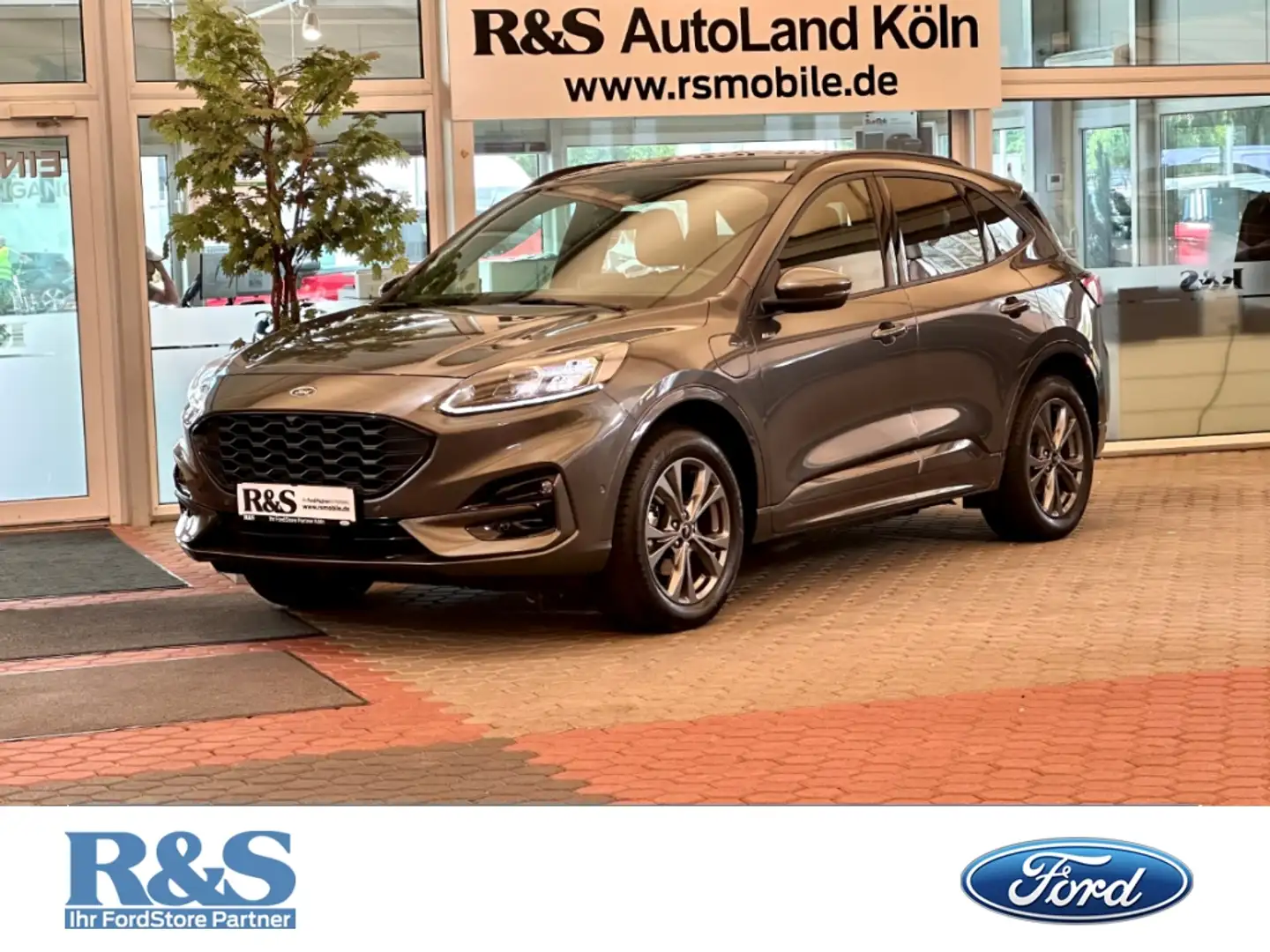 Ford Kuga ST-Line X+Automatik+AHK+Kamera+B&O+Key-Free Grau - 1