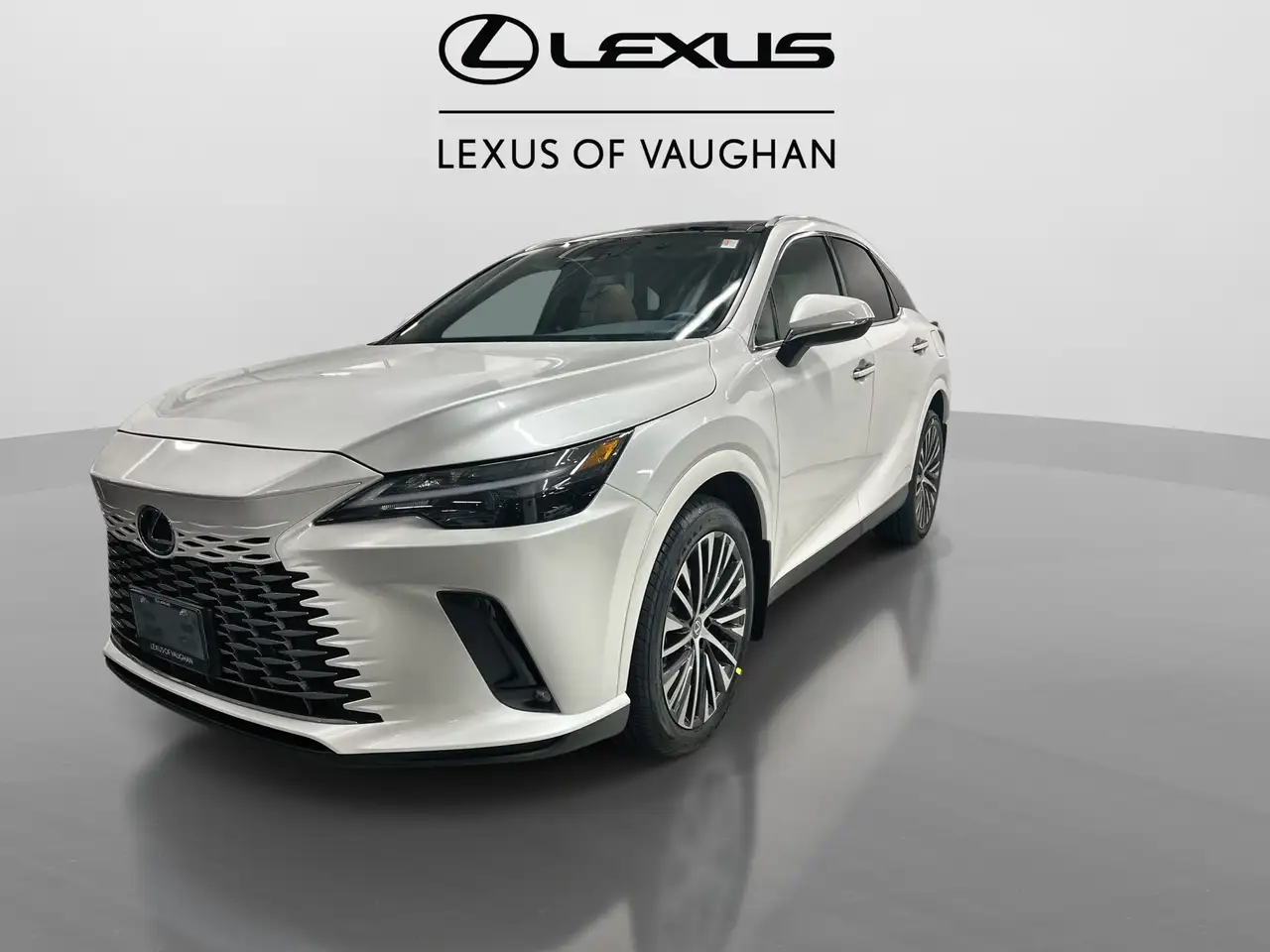 Lexus RX снимка Lexus RX