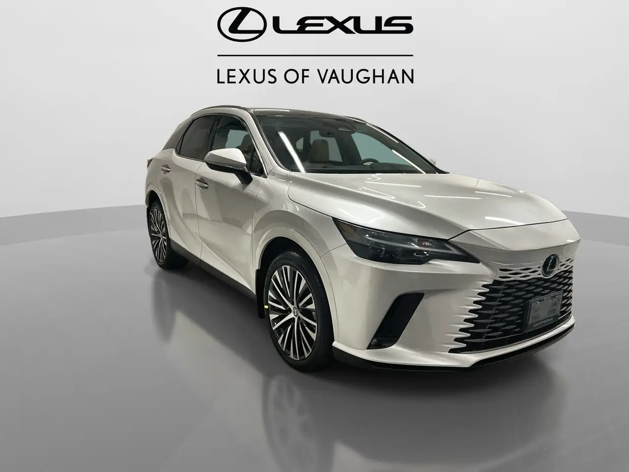 Lexus RX снимка Lexus RX