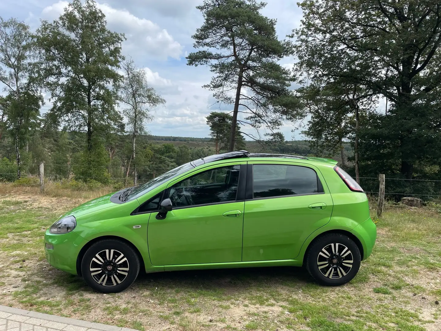 Fiat Punto 0.9 TwinAir Lounge Green - 2