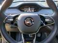 Skoda Enyaq Coupé RS iV LED PANO HUD 360° Wärmepumpe Grau - thumbnail 19