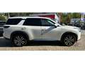 Nissan Pathfinder 3,5l Platinum 7-Sitzer Leder LED Weiß - thumbnail 5