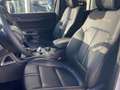 Ford Ranger Doppelkabine Wildtrak e-4WD 2,0 EcoBlue Aut Weiß - thumbnail 6