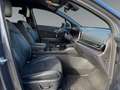 Kia Sportage Sportage 1,6 CRDI 48V Launch Edition Pro AWD DCT Grün - thumbnail 12