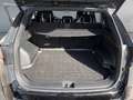 Kia Sportage Sportage 1,6 CRDI 48V Launch Edition Pro AWD DCT Grün - thumbnail 19