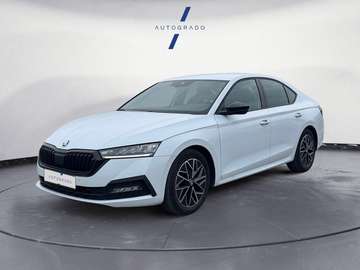 1.5 TSI m-HEV 110kW DSG Ambition Plus