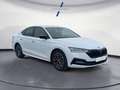 Skoda Octavia 1.5 TSI m-HEV 110kW DSG Ambition Plus Blanco - thumbnail 7