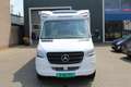 Weinsberg 640 MEG PEPPER EDITION 9 Traps Automaat 170PK Bianco - thumbnail 6