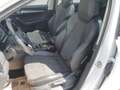 Skoda Karoq 1,6 TDI Style Limited DSG Aut. Alb - thumbnail 9