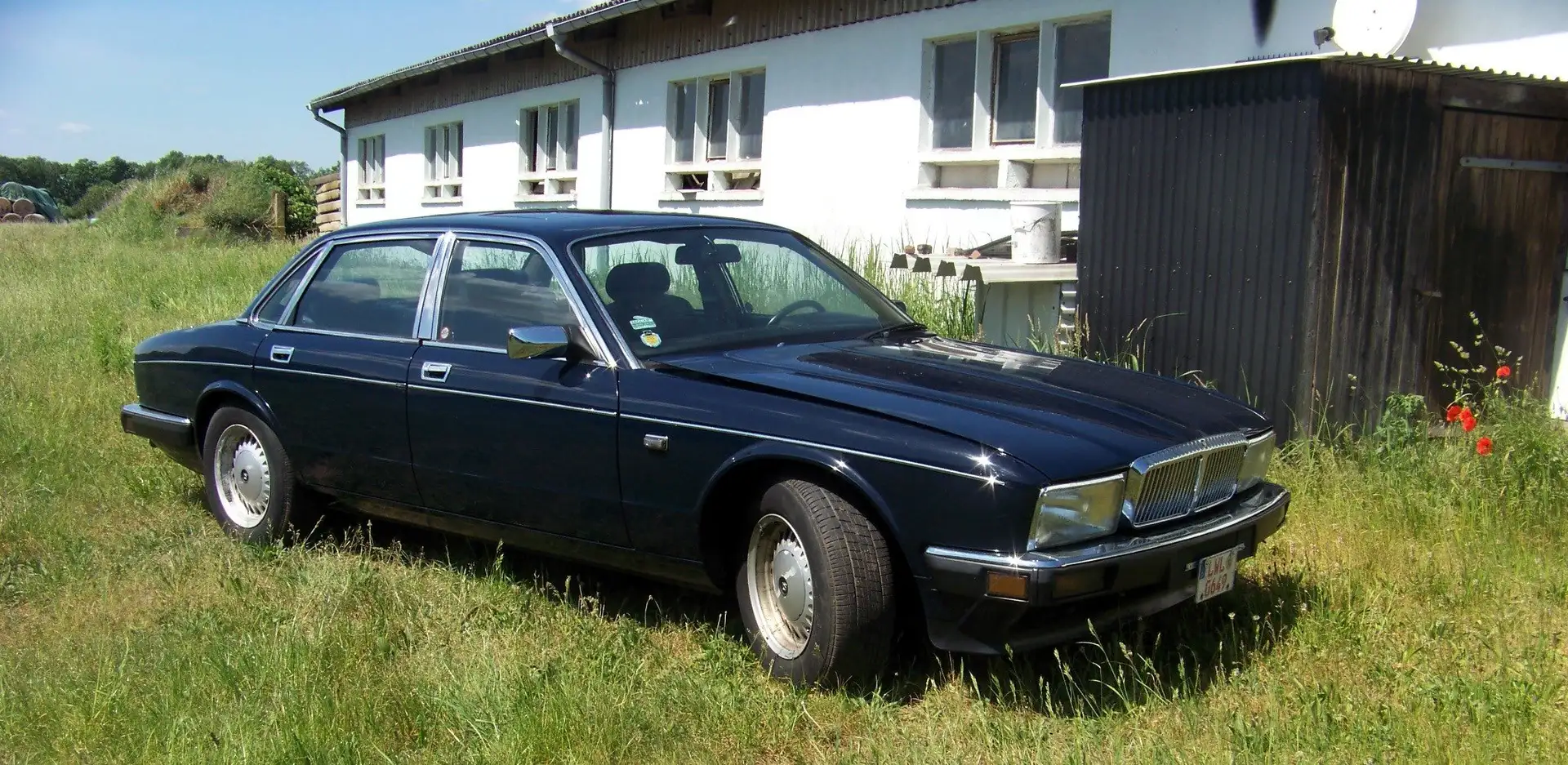 Jaguar XJ40 Jaguar XJ40 OLDTIMER Blau - 2