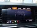 Opel Insignia ST Business Elegance, Bose, AHV,.... Schwarz - thumbnail 24