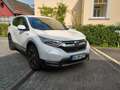 Honda CR-V CR-V 2.0 i- Hybrid 4WD Elegance Festpreis Weiß - thumbnail 1