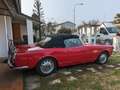 Alfa Romeo Spider Rot - thumbnail 9