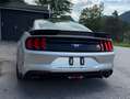 Ford Mustang Mustang 2,3 EcoBoost Aut. Fastback Grau - thumbnail 3