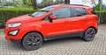 Ford EcoSport 1.5 tdci s&s plus 100cv ok neopatentati Rosso - thumbnail 5