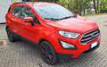 Ford EcoSport 1.5 tdci s&s plus 100cv ok neopatentati Rosso - thumbnail 1