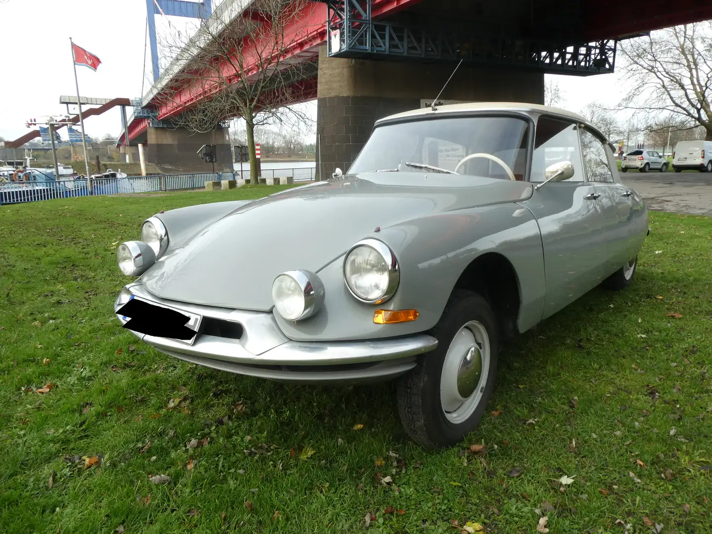 Citroen Citroen ID19 Confort Серый - 1